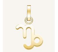Pendentif Rosefield couleur or Symbole du zodiaque Capricorne