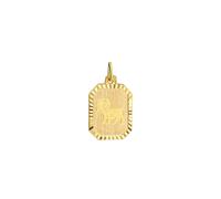 Pendentif signe du zodiaque Bélier rectangulaire or 333 jaune mat/diamanté 14...