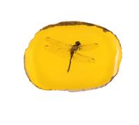 Pendentif Spécimen D’ambre Artificiel Libellule, Ornement Présent Unique | Jaune, Forme Délicate et Vive, Pièce 1pc, Assorti aux Tenues, Style Élégant Créatif