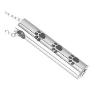 Pendentif Urne à Cendres, Collier Commémoratif en Acier Titane Argenté | Bijou Souvenir, Stockage des Cendres, Finition Argentée, pour Parents et Propriétaires D’animaux, Lieux Mémorables
