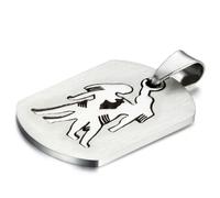 Pendentif Zodiaque Horoscope en Acier - Gémeaux