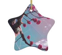 Pendentifs de Noël en céramique en forme d'étoile avec des trous perforés et des cordes dorées pour une suspension facile