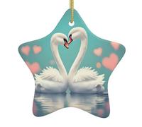Pendentifs de Noël en céramique en forme d'étoile avec trous perforés et cordes dorées pour une suspension facile