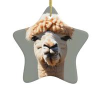 Pendentifs de Noël en céramique en forme d'étoile avec trous perforés et cordes dorées pour une suspension facile