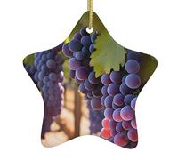 Pendentifs de Noël en céramique en forme d'étoile de raisin du désert, tous avec trous perforés et cordes métalliques dorées pour une suspension facile