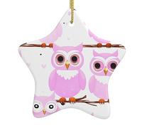Pendentifs de Noël en céramique en forme d'étoile en forme de chouette, tous avec trous perforés et cordes métalliques dorées pour une suspension facile