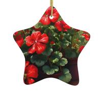 Pendentifs de Noël en céramique en forme d'étoile en forme de géraniums rouges, tous avec trous perforés et cordes dorées pour une suspension facile