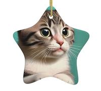 Pendentifs de Noël en céramique en forme d'étoile, tous avec trous perforés et cordes dorées pour une suspension facile