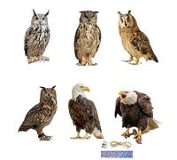Pendre De La Chouette Épouvantail - Ornement Extérieur Dissuasif Des Oiseaux | Fake Owl Hanging Repeller Pour Garden Balcony Patio | Dispositif De Contrôle Des Oiseaux Décoratif Idéal Pour L'installat