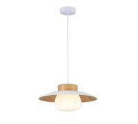 Pendre de salle à manger, lampe suspendue en métal à grain de bois avec abat-jour en acrylique, luminaires d'éclairage G9, lampes de suspension de conception modernes, feux de dépôt de plafond de