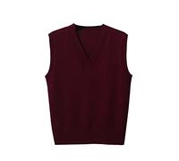 PengGengA Pull Femme sans Manches Gilet en Tricot Pulls d'hiver Chaud Classique Veste à Col V (Vin Rouge, S)