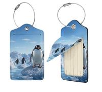 Penguin Antarctica Ice Lot de 2 étiquettes de bagage en cuir synthétique avec boucle en acier inoxydable et carte d'adresse, étiquettes de bagages, étiquettes de voyage, étiquettes d'identification