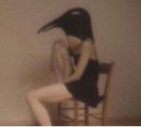 Penguin Cafe Orchestra [Import]