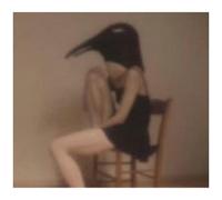 Penguin Cafe Orchestra -Tribute-