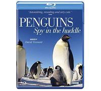 Penguin Spy in The Huddle [Blu-Ray]
