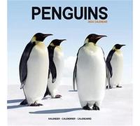 Penguins Calendar 2024 Square Animal Wall Calendar 16 Month Penguins Calendar 2024 Square Animal Wall Calendar 16 Month (Auteur)