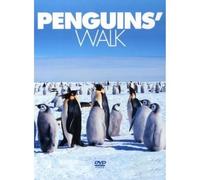 Penguins! Pingouins!