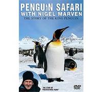Penguins Safari With Nigel Marven , The Story Of The King Penguin G
