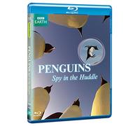Penguins: Spy in the Huddle