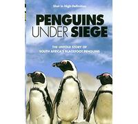Penguins Under Siege