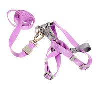 PENIKOKO 1 Ensemble Harnais et Laisse pour Chien Échappement Sécurisé Ensemble Réglable Couleur pour Chiens de Moyenne et Petite Accessoire Pratique pour Promenade Extérieur