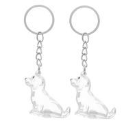 PENIKOKO 2 Pièces Dog Hair Collector Keychain Transparent Keepsake Box Capsule Pendant for Pet Hair Storage and Memorial Puppies Pendant
