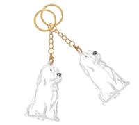 PENIKOKO 2 Pièces Porte-clés Commémoratif pour Animaux De Compagnie Cadeaux Commémoratifs pour Animaux De Compagnie Transparent Abs