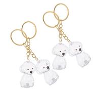 PENIKOKO 4pièces Porte-clés Poils De Chat Souvenir Capsule Transparente Pendentif Et Portable pour Clés Ornement Commémoratif pour Animaux De Compagnie