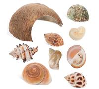 PENIKOKO Cachette Noix De pour Reptiles Coquillages pour Ermite Grotte pour Poissons Habitat pour Conque