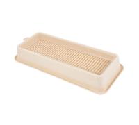 PENIKOKO Jardinière Herbe à Chat Hydroponique Pratique sans Terre Pot De Fleurs pour Chat Décoratif Boîte De Pépinière Facile à Planter