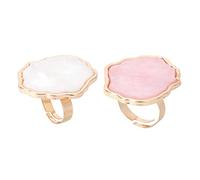 PENIKOKO Lot de 2 Palettes Annulaires Effet Coquillage Marbré, Grosse Taille, Matériau Lisse, Palettes de Couleurs pour Nail Art, Artistes Manucure, Création Ongles, Outils Mélange