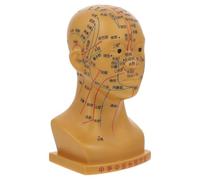 PENIKOKO Modèle D'acupuncture pour Tête Médicale 20 Cm Cuivre 4 Fonctions Points D'acupression Tête Humaine Pédagogique Soins Visage Enseignement Médecine Alternative