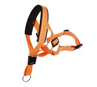 PENIKOKO Muselière Réfléchissante Ajustable pour Chiens De Empêche Aboiements Et Mâchonnement Conçue pour Extérieur Respirant Pratique pour Dressage Gestion du Comportement Canin