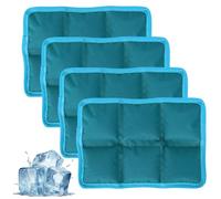 Penitue 4pcs Pains de Glace pour Boîtes à Lunch, Blocs Réfrigérants Réutilisables et Légers Accessoires Multifonctionnels pour Garder Les Aliments Frais Lors des Pique-Niques à l'École Camping (Bleu)