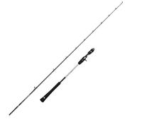Penn Canne à Jigging Légère Prevail Iii Cast
