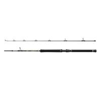 PENN Canne à pêche pour Bateau Regiment IV, pour la pêche en Eau salée légère et Polyvalente, Argent, 2,10 m, Canne à pêche Rapide et ambidextre