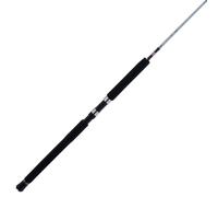 PENN Canne à pêche Prevail III de 1,8 m ; canne à pêche 1 pièce, construction composite graphite durable, guides en acier inoxydable durable