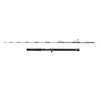 PENN Canne à pêche Regiment IV Jig Cast, pour la pêche en Eau salée très légère et Polyvalente, Argent, 1.84m, Canne à pêche Rapide et ambidextre