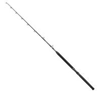 Penn Canne Baitcasting Marine Brigade Trolling