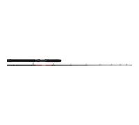 Penn Canne Baitcasting Warfare Light