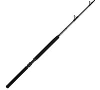 Penn Canne Jigging Ally™ Ii Boat Conventional