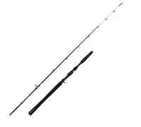 Penn Canne Jigging Marine Brigade Dentex