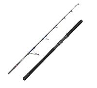 Penn Canne Jigging Overseas Xt Ii