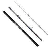 Penn – Canne à pêche Overseas XT II Boat – Lancer eau salée, blank carbone HM, 2,04 m 20-30 LB