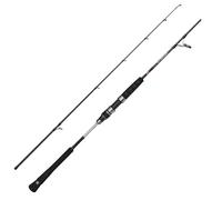 Penn Canne Jigging Prevail Iii