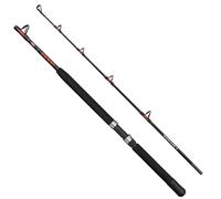 Penn Canne Jigging Warfare Ii Boat