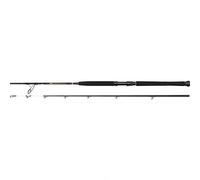 Penn Canne à pêche Wrath II Boat – Pêche en mer, blanks solides – Argenté 2,13 m 20-30 Lbs