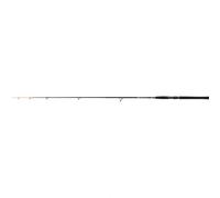 PENN Wrath II Dorade Canne à Pêche Spinning, Conçue pour la-Pêche à la Dorade en Méditerranée, Assortis