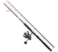 PENN Combo PENN Fierce IV Spin, Ensemble pour la pêche au leurre en mer, côtiers ou hauturiers, polyvalents, bons pour les prédateurs marins, y compris le bar, la morue, le lieu jaune, le labre