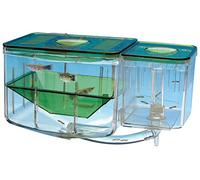 Penn-Plax AN2 Aqua Nursery and Hatchery, boîte d'élévage pour Votre Aquarium, Aide à protéger Les bébés Poissons des prédateurs